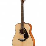 6-String Acoustic Guitar