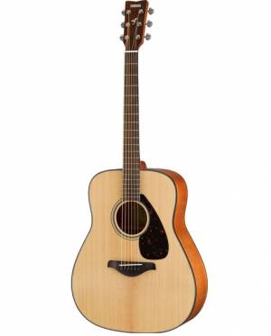 6-String Acoustic Guitar