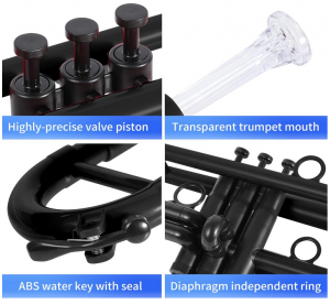 Trumpet Set for Student Beginner - Image 2